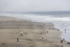 My Trip to San Francisco 舊金山之旅 | Page 16 | SkyscraperCity Forum My Trip to San Francisco 舊金山之旅