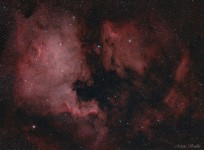 The North America Nebula nad the Pelican Nebula | Marta Seidler | Flickr The North America Nebula nad the Pelican Nebula