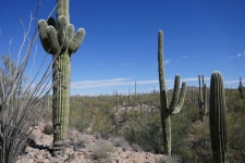 Tucson, AZ - SkyscraperPage Forum