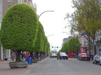 SkyscraperPage Forum - View Single Post - Post some pictures of your city! II