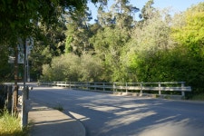 Cambria, CA and environs... and basically the central coast of California - SkyscraperPage Forum