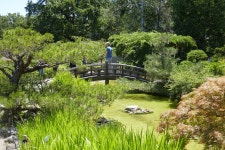 Road Trip! San Francisco and blurbs of other towns in California. - SkyscraperPage Forum