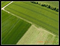 Vegetation Nattenheim Nordost | Das Drachenluftbild zeigt da… | Flickr Vegetation Nattenheim Nordost