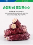곡성 옥과농협 손질 생 흑찰옥수수 - NS홈쇼핑