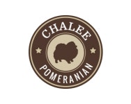 Logopond - Logo, Brand & Identity Inspiration (Chalee Pomeranian) Chalee Pomeranian