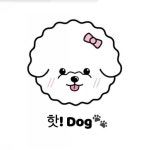 핫.Dog 애견미용샵(@_hot_dog_shop) • Instagram 사진 및 동영상