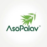 Asopalav(@asopalav) • Instagram 사진 및 동영상