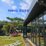 카페 바오 | 창녕부곡온천 • 창녕카페 • 창녕가볼만한곳 • 창녕여행 ㆍ부곡온천 ㆍ커피맛집 ㆍ자연이예쁜 ㆍ숲속카페(@bao_.cafe)... 
