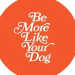 Be More Like Your Dog(@bemorelikeyourdog) • Instagram 사진 및 동영상