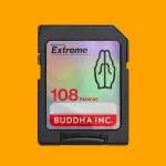 BUDDHA INC./B.D.W.(@buddha.inc_) • Instagram 사진 및 동영상