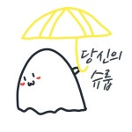 카페 당신의슈룹(@cafe_dangsyu) • Instagram 사진 및 동영상