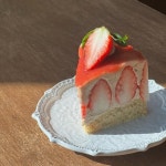 비건베이커리 그로비(@cafe_grovy) • Instagram 사진 및 동영상