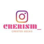 Jung sangyong 크레리즘(@crerism_) • Instagram 사진 및 동영상