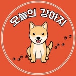 오늘의강아지(@cute._.dailydog) • Instagram 사진 및 동영상