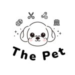 거제강아지분양 거제고양이분양 - 더펫(@g.thepet5533) • Instagram 사진 및 동영상