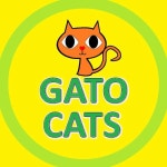 😻 Gatos & Cats 😻(@gato_cats) • Instagram 사진 및 동영상