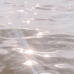Gentle Lights(@gentlelights.music) • Instagram 사진 및 동영상
