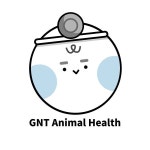 지엔티 애니멀헬스(@gnt_animal_health) • Instagram 사진 및 동영상