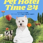 타임24 l 대구애견호텔 대구애견유치원 l 놀이터 카페 대구 수성구(@goldepettime) • Instagram 사진 및 동영상