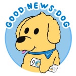 Good News Dog(@goodnewsdog) • Instagram 사진 및 동영상