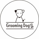 그루밍도그ʕ•ᴥ•ʔ(@groomingdog_) • Instagram 사진 및 동영상