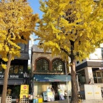 Itaewon Books📚 이태원북스(@itaewon_books) • Instagram 사진 및 동영상