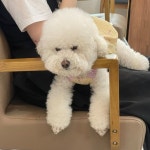 더숨헤어 요니(@j__yoni) • Instagram 사진 및 동영상
