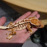 JUST Farm(@just.farm_kd) • Instagram 사진 및 동영상