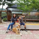 누렁이과수원(@kangjongho73) • Instagram 사진 및 동영상