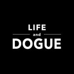 라이프앤도그 Life and Dogue(@lifeanddogue_) • Instagram 사진 및 동영상