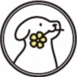 리틀플라워🌷🐾 | 송파애견미용 | 잠실애견미용 | 하남애견미용 | 배냇미용전문 | 가위컷전문(@littleflower_grooming) • Instagram... 