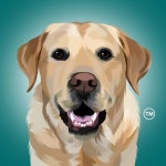 Magnus The Therapy Dog(@magnusthetherapydog) • Instagram 사진 및 동영상