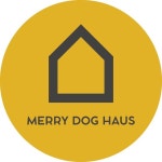 메리도그하우스(@merrydoghaus) • Instagram 사진 및 동영상