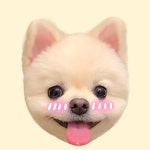 mine(마인)(@mine20200110) • Instagram 사진 및 동영상