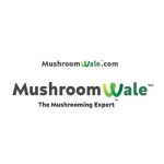 Mushroomwale(@mushroomwale) • Instagram 사진 및 동영상