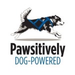 Pawsitively Dog-Powered(@pawsitivelydogpowered) • Instagram 사진 및 동영상