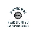 PEAK 와이어주짓수 도봉/방학/수락주짓수(@peak_wire) • Instagram 사진 및 동영상