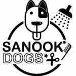 SANOOK DOGS GROOMING KR. 사눅독스 그루밍(@sanook_dogs) • Instagram 사진 및 동영상