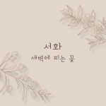 아라(@seohwa.ara) • Instagram 사진 및 동영상