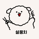 🐶하남 반려견미용 설뭉치🐶(@seolmoongchi) • Instagram 사진 및 동영상