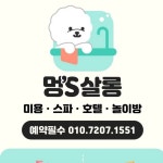 부산 초량 애견미용호텔 멍스살롱(@sksmssksms0) • Instagram 사진 및 동영상