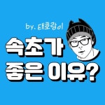 속초 속초맛집 속초카페 속초핫플 속초가볼만한곳 양양 양양맛집 양양카페 고성 고성맛집 고성카페(@sokcho.good) • Instagram 사진 및... 