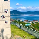 거제펜션 거제애견펜션 거제애견동반펜션 : 거제 쏠베르 펜션(@solver_pension) • Instagram 사진 및 동영상