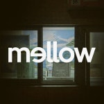 Mellow(@soundsmellow_) • Instagram 사진 및 동영상