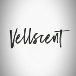 𝐕𝐄𝐋𝐋𝐒𝐂𝐄𝐍𝐓 𝐦𝐞𝐧’𝐬 𝐡𝐚𝐢𝐫 벨센트 맨즈헤어 상도숭실점(@vellscent_menshair2) • Instagram... 