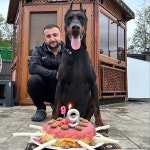 Elgün Dadaşov (Von Dadashov Dobermann Kennel)(@vondadashovdoberman) • Instagram 사진 및 동영상