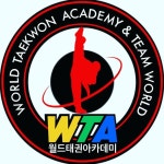 World Taekwon Academy 월드태권아카데미(@worldtaekwonacademy) • Instagram 사진 및 동영상