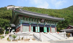 [서울 교통] 우이신설선으로 떠나는 서울 여행 > 서울사랑 > 서울이야기 > 시민소통 > 정보소통광장