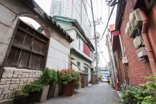 [동네에서 만나는 인문학] 민족의 성산(聖山) 남산과 남촌 역사 여행... [동네에서 만나는 인문학] 민족의 성산(聖山) 남산과 남촌 역사 여행