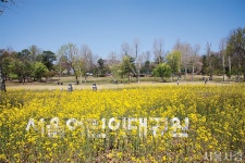 [보행 친화 도시] 건강한 걷기 문화 > 서울사랑 > 서울이야기 > 시민소통 > 정보소통광장 [보행 친화 도시] 건강한 걷기 문화